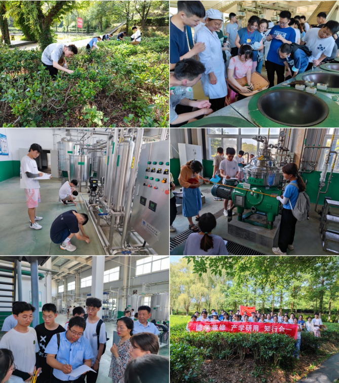 36ffe2c9e6ed4b9a98d17dfe2e9a9175.png 5.png