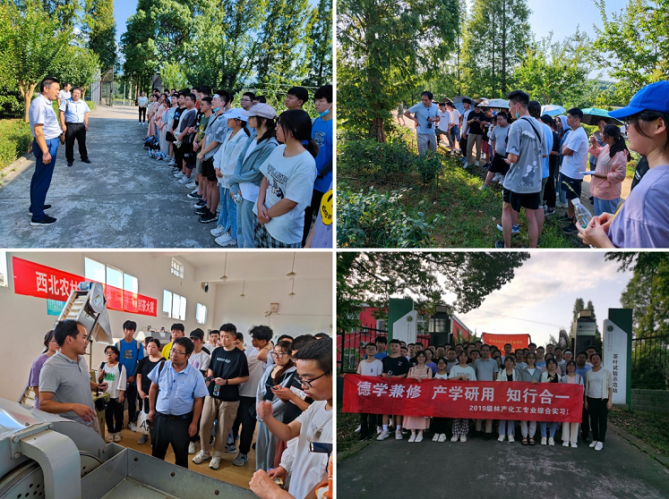 ea9486e9a11c49ceab53cc01f81862be.png 4.png