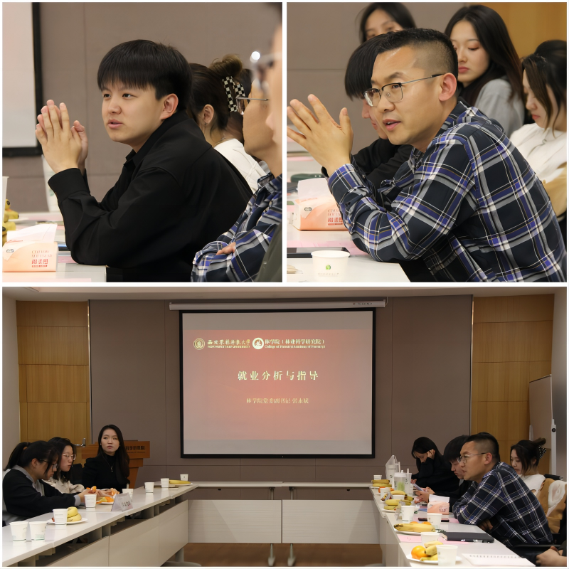 5afe94f11049478b9798cb4cc4f0d585.png WPS拼图3.png