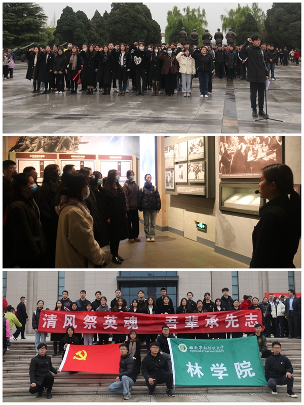 668eb46225ed4685839fd3a535a5d313.jpg IMG_20230405_233512_副本.jpg